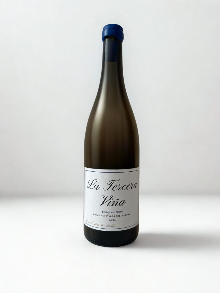 Vino de parcela: qué es, qué lo hace único y por qué los vinos single vineyard ganan reconocimiento entre los amantes del vino.