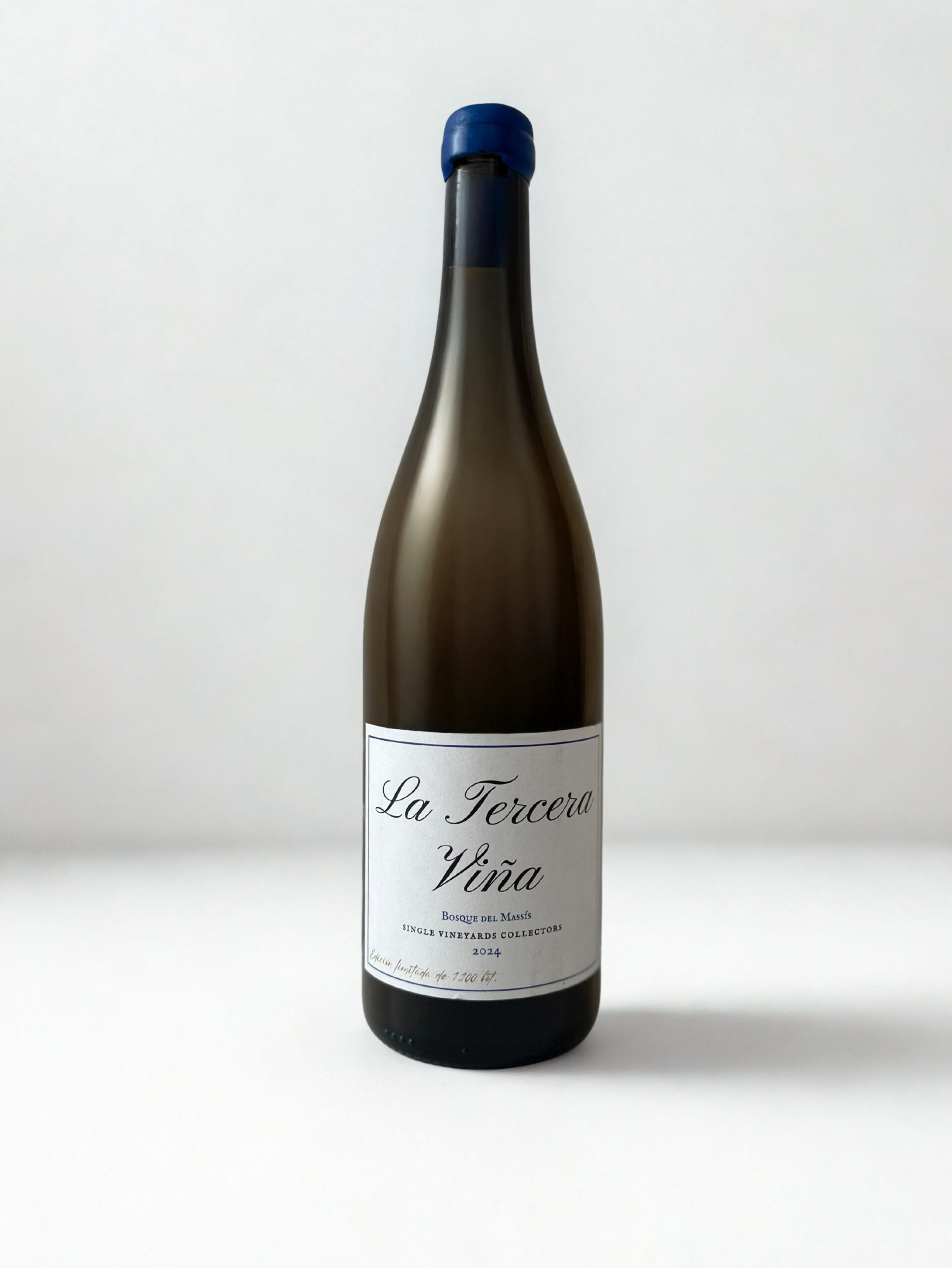 Vino de parcela: qué es, qué lo hace único y por qué los vinos single vineyard ganan reconocimiento entre los amantes del vino.